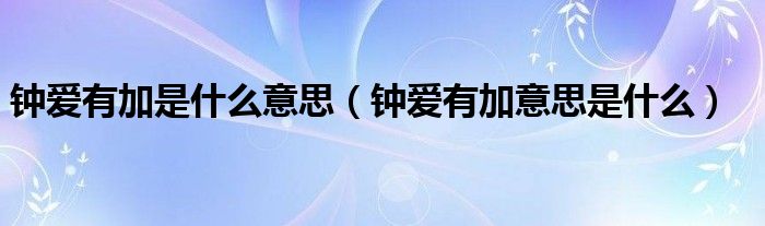 钟爱有加是什么意思(钟爱有加意思是什么)