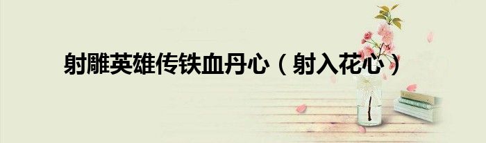 射雕英雄传铁血丹心(射入花心)