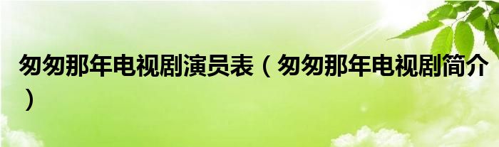 匆匆那年电视剧演员表(匆匆那年电视剧简介)