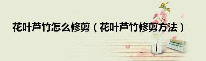 花叶芦竹怎么修剪(花叶芦竹修剪方法)
