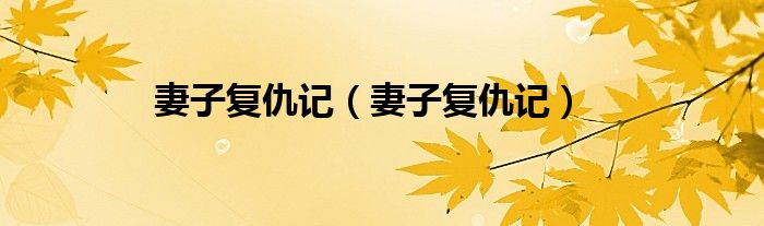 妻子复仇记（妻子复仇记）