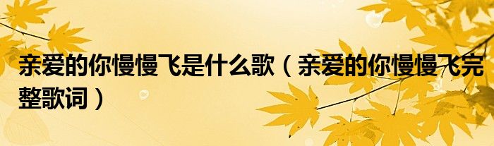 亲爱的你慢慢飞是什么歌(亲爱的你慢慢飞完整歌词)