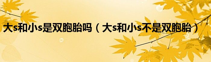 大s和小s是双胞胎吗(大s和小s不是双胞胎)
