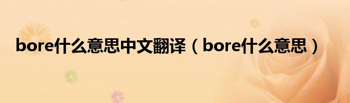 bore什么意思中文翻译(bore什么意思)