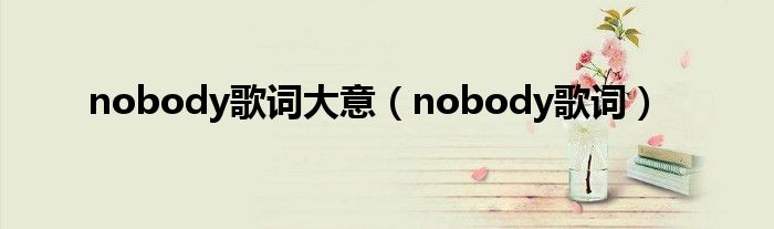 nobody歌词大意(nobody歌词)