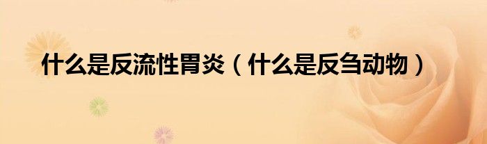 什么是反流性胃炎(什么是反刍动物)