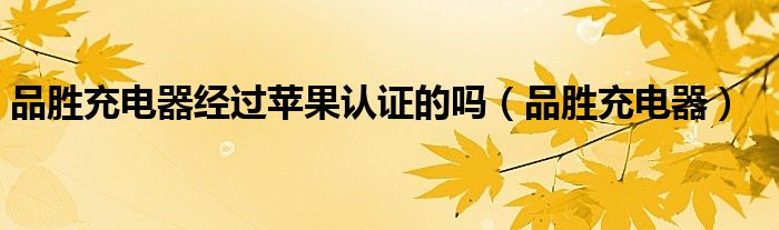 品胜充电器经过苹果认证的吗(品胜充电器)