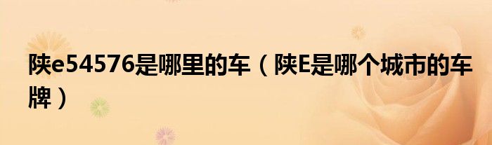 陕e54576是哪里的车(陕E是哪个城市的车牌)