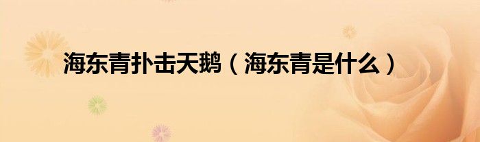 海东青扑击天鹅（海东青是什么）