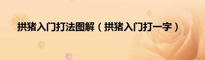 拱猪入门打法图解(拱猪入门打一字)