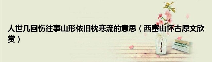 人世几回伤往事山形依旧枕寒流的意思(西塞山怀古原文欣赏)