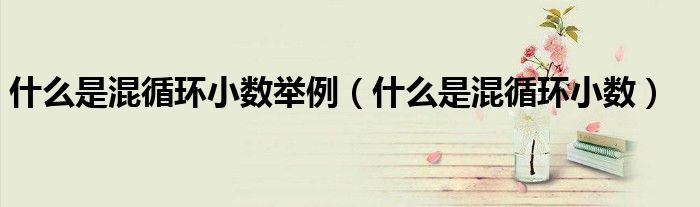 什么是混循环小数举例(什么是混循环小数)