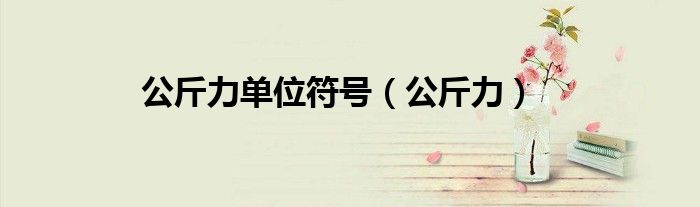 公斤力单位符号(公斤力)