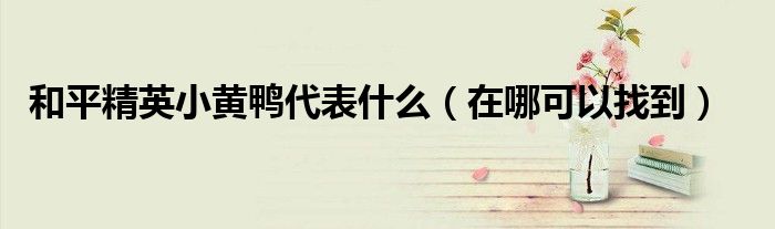 和平精英小黄鸭代表什么(在哪可以找到)