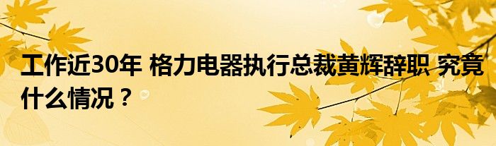 工作近30年 格力电器执行总裁黄辉辞职 究竟什么情况?