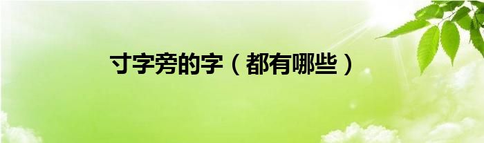 寸字旁的字（都有哪些）