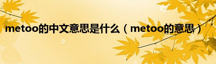 metoo的中文意思是什么(metoo的意思)