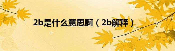 2b是什么意思啊(2b解释)