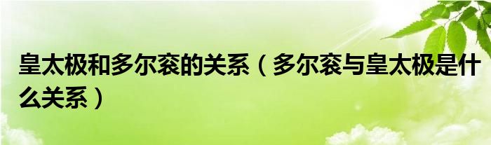皇太极和多尔衮的关系(多尔衮与皇太极是什么关系)