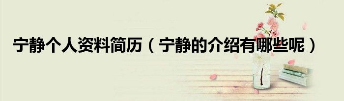 宁静个人资料简历(宁静的介绍有哪些呢)