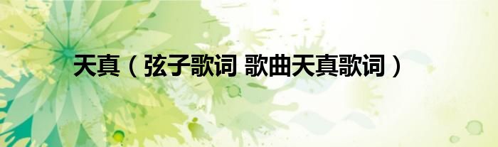 天真(弦子歌词 歌曲天真歌词)