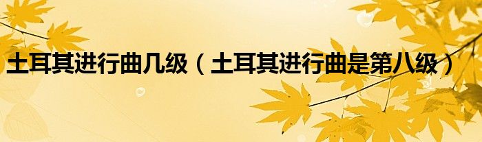 土耳其进行曲几级(土耳其进行曲是第八级)