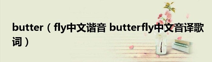 butter(fly中文谐音 butterfly中文音译歌词)