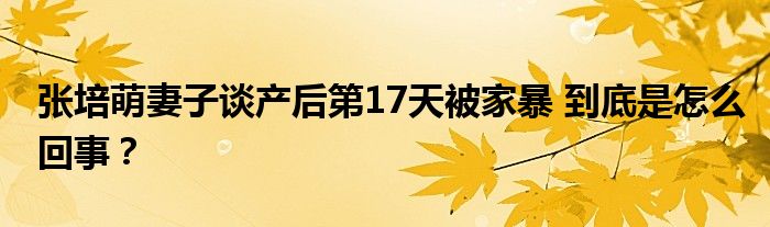 张培萌妻子谈产后第17天被家暴 到底是怎么回事?