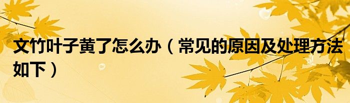 文竹叶子黄了怎么办(常见的原因及处理方法如下)