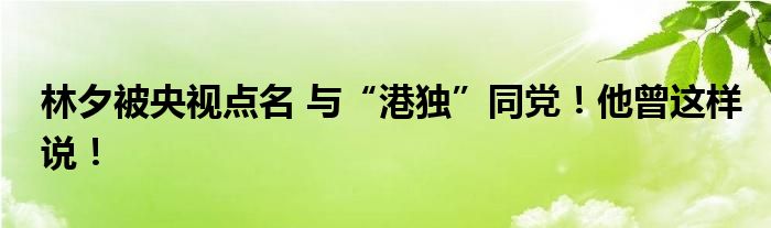 林夕被央视点名 与“港独”同党！他曾这样说！