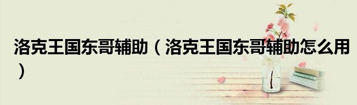 洛克王国东哥辅助(洛克王国东哥辅助怎么用)