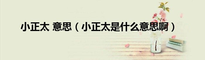 小正太 意思(小正太是什么意思啊)