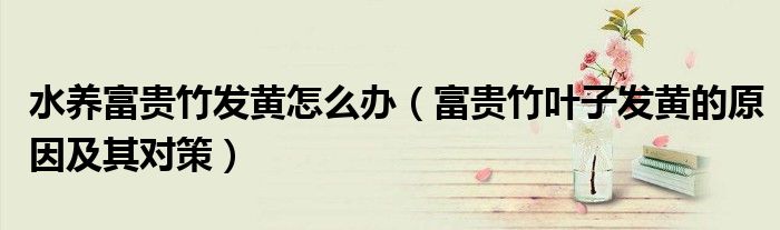 水养富贵竹发黄怎么办(富贵竹叶子发黄的原因及其对策)