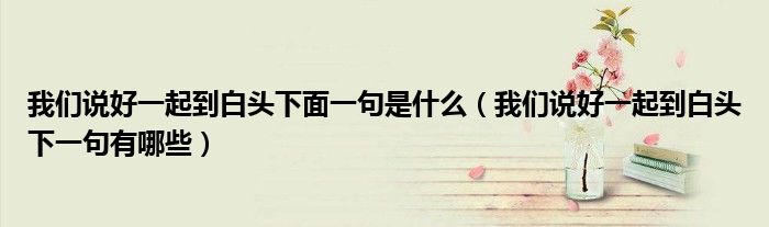 我们说好一起到白头下面一句是什么(我们说好一起到白头下一句有哪些)