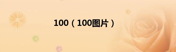 100(100图片)