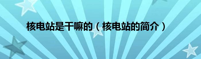 核电站是干嘛的(核电站的简介)