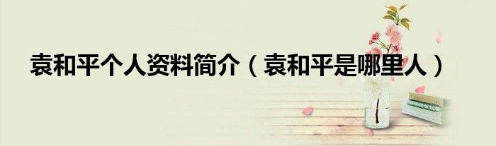 袁和平个人资料简介(袁和平是哪里人)