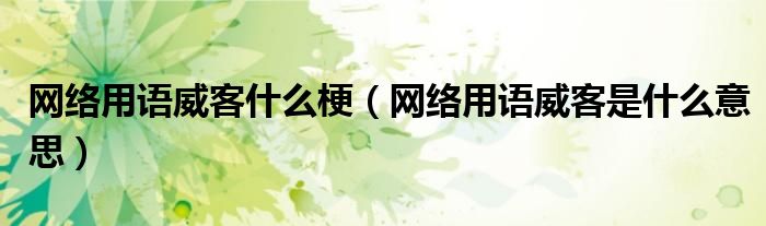 网络用语威客什么梗(网络用语威客是什么意思)
