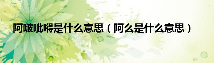 阿啵呲嘚是什么意思（阿么是什么意思）