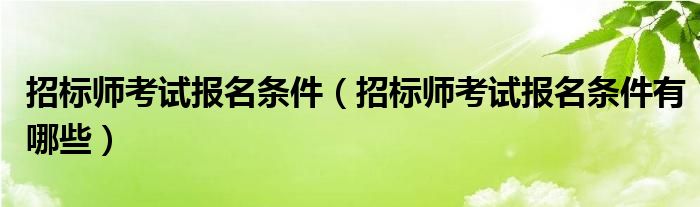 招标师考试报名条件(招标师考试报名条件有哪些)