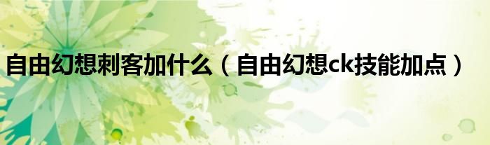 自由幻想刺客加什么(自由幻想ck技能加点)