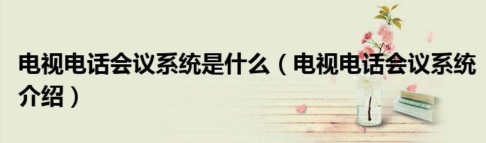 电视电话会议系统是什么(电视电话会议系统介绍)