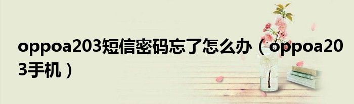 oppoa203短信密码忘了怎么办(oppoa203手机)