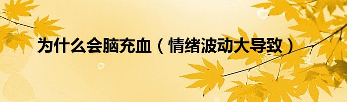 为什么会脑充血(情绪波动大导致)
