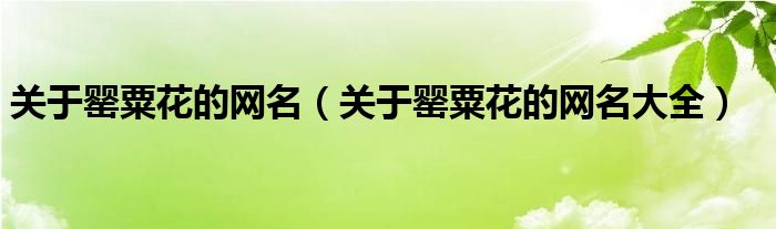 关于罂粟花的网名（关于罂粟花的网名大全）