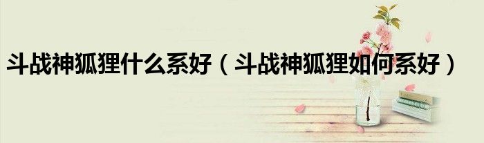 斗战神狐狸什么系好(斗战神狐狸如何系好)