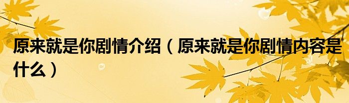 原来就是你剧情介绍(原来就是你剧情内容是什么)