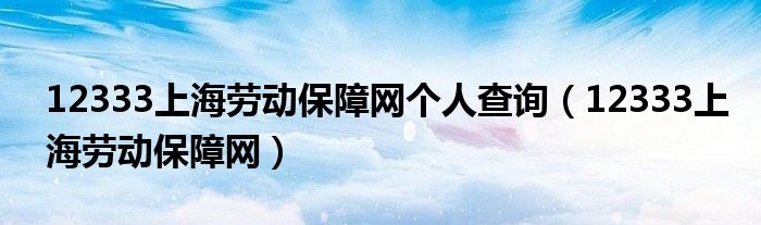 12333上海劳动保障网个人查询(12333上海劳动保障网)