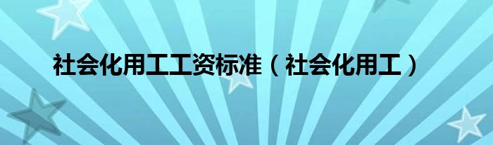 社会化用工工资标准(社会化用工)