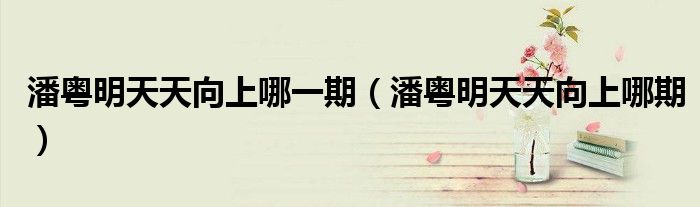 潘粤明天天向上哪一期(潘粤明天天向上哪期)